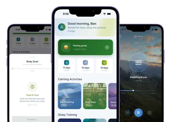 Restori app previews